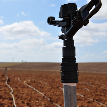 Irrigatore di un impianto irrigazione in campo aperto