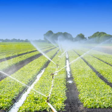 Impianto irrigazione in campo aperto